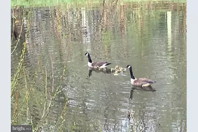 22247 Watson Road, Leesburg, VA 20175 - Photo 53