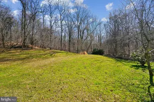 13064 Furnace Mountain Rd, Lovettsville, VA 20180 - Photo 47