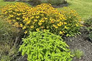 16756 Misty Ridge Ln, Purcellville, VA 20132 - Photo 77