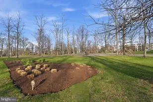 20388 Roslindale Dr, Ashburn, VA 20147 - Photo 67