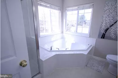 199 Alpine Drive SE, Leesburg, VA 20175 - Photo 37