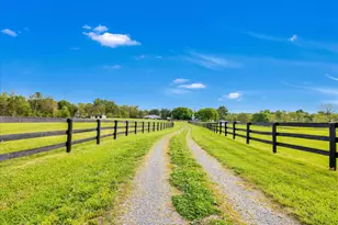 19255 Telegraph Springs Rd, Purcellville, VA 20132 - Photo 99