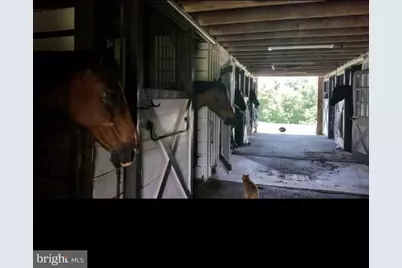 19255 Telegraph Springs Road, Purcellville, VA 20132 - Photo 17