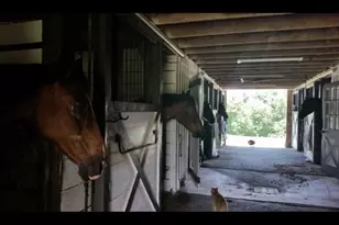 19255 Telegraph Springs Rd, Purcellville, VA 20132 - Photo 17