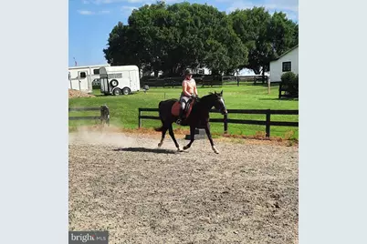 19255 Telegraph Springs Road, Purcellville, VA 20132 - Photo 19