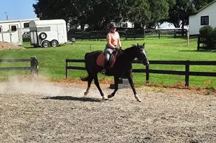 19255 Telegraph Springs Rd, Purcellville, VA 20132 - Photo 19