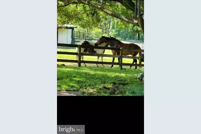 19255 Telegraph Springs Road, Purcellville, VA 20132 - Photo 13