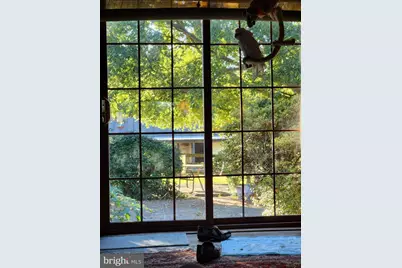 19255 Telegraph Springs Road, Purcellville, VA 20132 - Photo 9