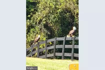 19255 Telegraph Springs Road, Purcellville, VA 20132 - Photo 21