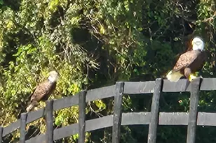 19255 Telegraph Springs Rd, Purcellville, VA 20132 - Photo 21