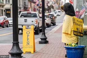 1002 Themis St SE, Leesburg, VA 20175 - Photo 63