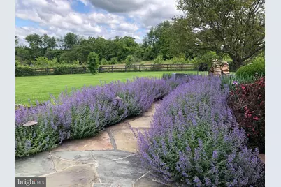 15371 Limestone School Road, Leesburg, VA 20176 - Photo 5