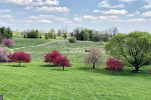 15371 Limestone School Rd, Leesburg, VA 20176 - Photo 53