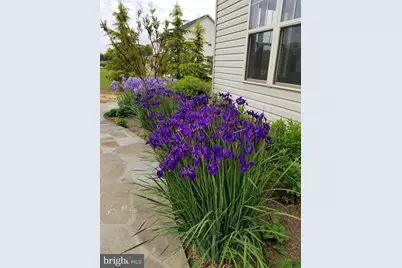 17330 Harmony Vista Drive, Hamilton, VA 20158 - Photo 53