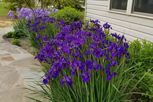 17330 Harmony Vista Dr, Hamilton, VA 20158 - Photo 53