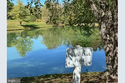 35940 Birch Hollow Lane, Purcellville, VA 20132 - Photo 79