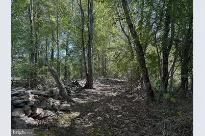 35940 Birch Hollow Lane, Purcellville, VA 20132 - Photo 85