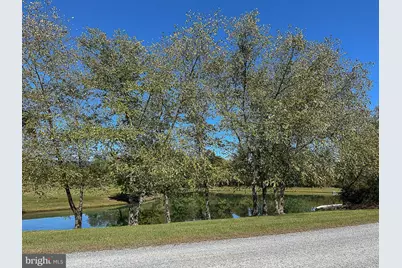 35940 Birch Hollow Lane, Purcellville, VA 20132 - Photo 95