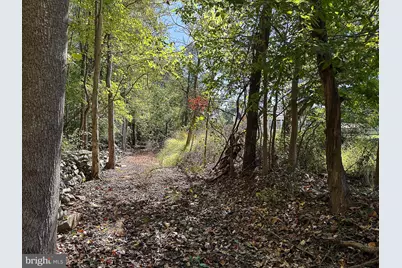 35940 Birch Hollow Lane, Purcellville, VA 20132 - Photo 83
