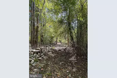 35940 Birch Hollow Lane, Hillsboro, VA 20132 - Photo 13