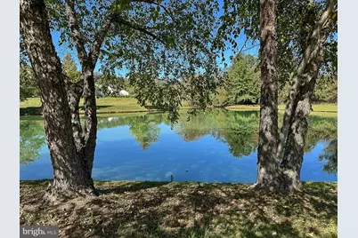 35940 Birch Hollow Lane, Hillsboro, VA 20132 - Photo 11