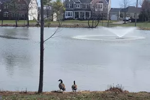 26760 Crusher Dr, Chantilly, VA 20152 - Photo 103