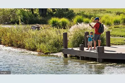 25766 Forerunner Lane, Aldie, VA 20105 - Photo 75