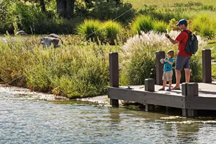 25766 Forerunner Ln, Aldie, VA 20105 - Photo 75