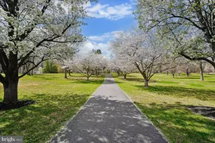 14351 Rosefinch Cir, Leesburg, VA 20176 - Photo 5