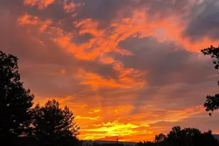 18940 Airmont Rd, Purcellville, VA 20132 - Photo 89