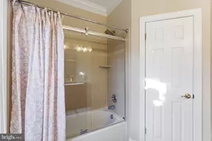 19468 Mill Dam Pl, Leesburg, VA 20176 - Photo 61