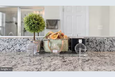 24138 Bryce Ridge Court, Aldie, VA 20105 - Photo 45