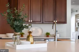 23427 Spice Bush Terrace, Brambleton, VA 20148 - Photo 21