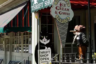 23533 Light Horse Ct, Middleburg, VA 20117 - Photo 25