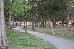 23117 Cottonwillow Sq, Brambleton, VA 20148 - Photo 77