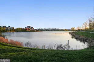 23117 Cottonwillow Sq, Brambleton, VA 20148 - Photo 83