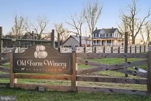 23117 Cottonwillow Sq, Brambleton, VA 20148 - Photo 87