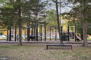 23117 Cottonwillow Sq, Brambleton, VA 20148 - Photo 81