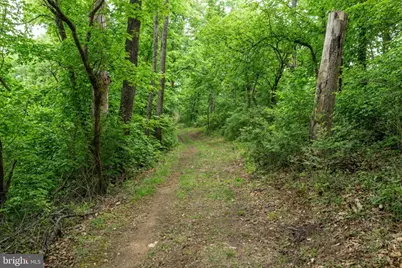 36025 Snickersville Turnpike, Purcellville, VA 20132 - Photo 67