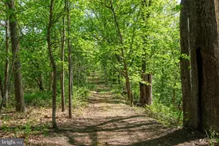 36025 Snickersville Turnpike, Purcellville, VA 20132 - Photo 107