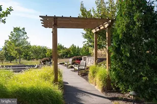 41123 Hickory Hedge Pl, Aldie, VA 20105 - Photo 59