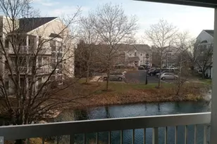 20602 Cornstalk Terrace, Ashburn, VA 20147 - Photo 3