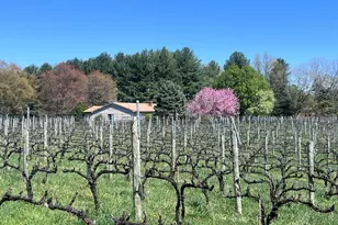 16120 Mountain Ridge Ln, Hillsboro, VA 20132 - Photo 5