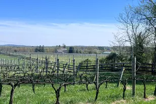 16120 Mountain Ridge Ln, Hillsboro, VA 20132 - Photo 7