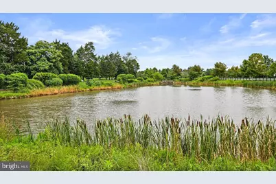 25873 Cameron Walk Place, Aldie, VA 20105 - Photo 71