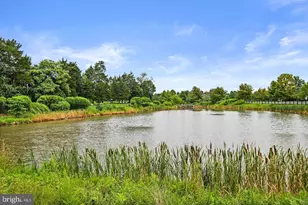 25873 Cameron Walk Pl, Aldie, VA 20105 - Photo 71