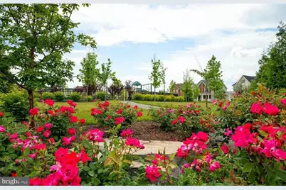 23109 Dunlop Heights Terrace, Ashburn, VA 20148 - Photo 19