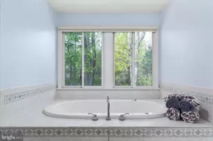 17352 Raven Rocks Rd, Bluemont, VA 20135 - Photo 75