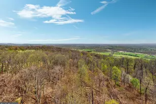 17352 Raven Rocks Rd, Bluemont, VA 20135 - Photo 47