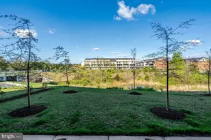 22379 Roanoke Rise Terrace, Ashburn, VA 20148 - Photo 33